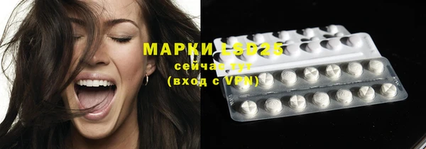 MESCALINE Покачи
