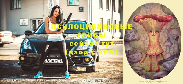 шишки Абинск