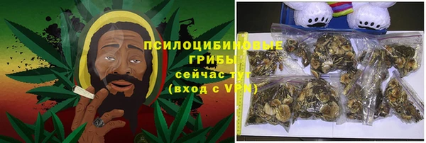 MESCALINE Покачи
